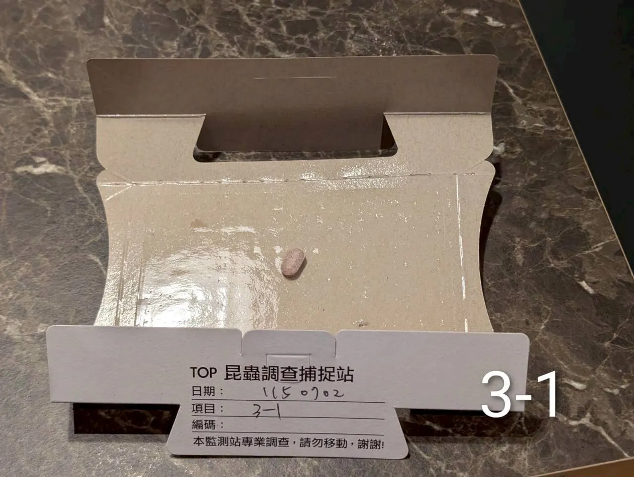 編號的監測站